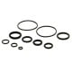 Polarstar Complete O-Ring Set for F2