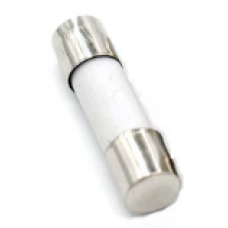 Fuse (25 Amp, 20mm)
