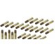 ASG Brass Shells for Co2 Revolvers - Set of 25 (6mm)